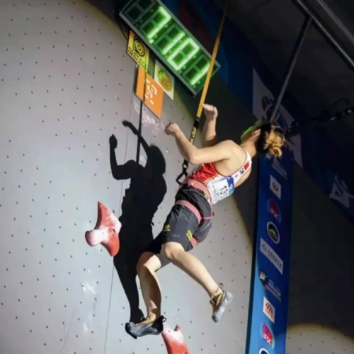 climbingolympics